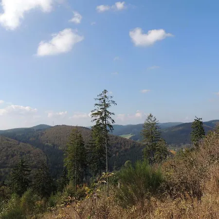 Apartment Schloss Wittgenstein *