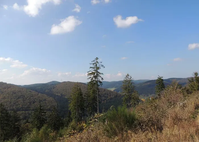 Apartment Schloss Wittgenstein *